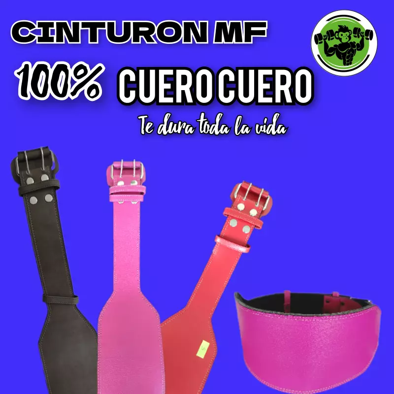 CINTURON MF  BASIC