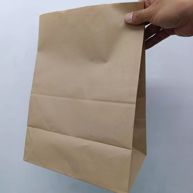 Bolsa Kraft Delivery 5 Kilos