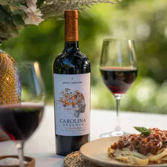 santa Carolina Carmenere Botella