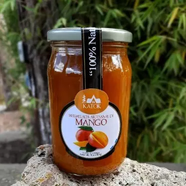 Mango 16 Onz. (1 Ud)