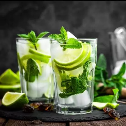 Terrario/ Mojito Cubano