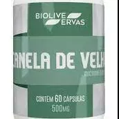 CANELA DE VELHO - 60 CÁPS - 500 MG