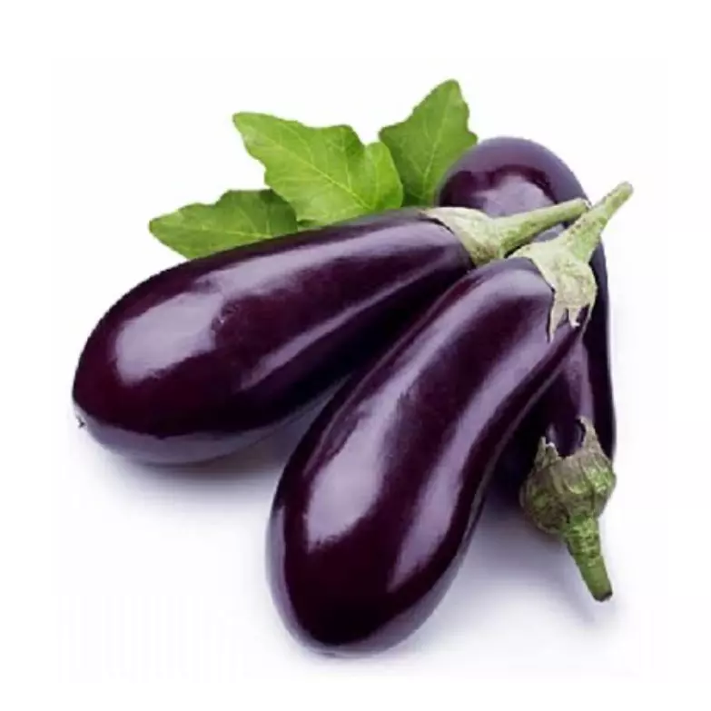 BERINJELA G