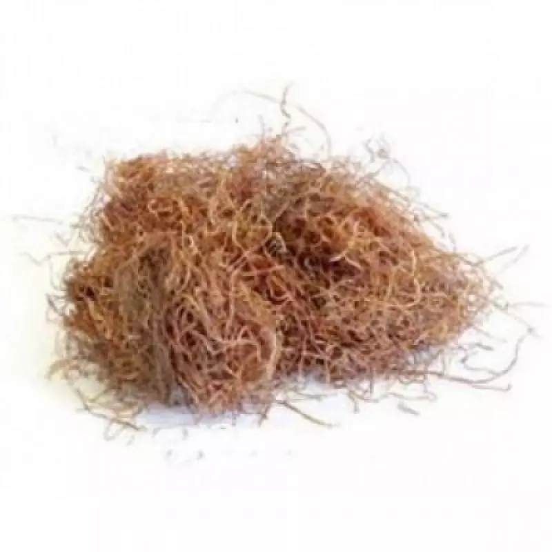 EStigma de milho 100gr