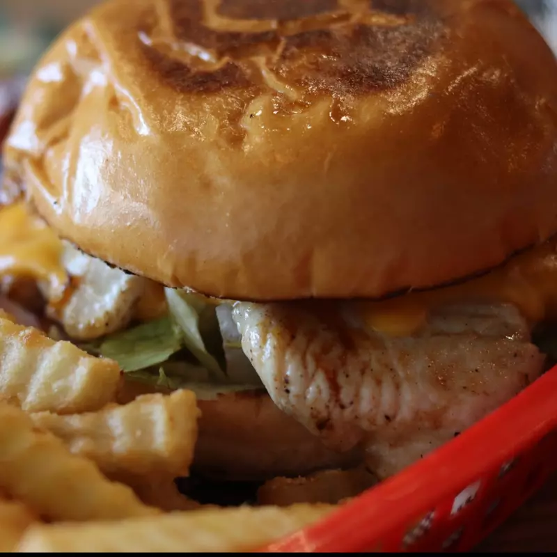 Grilled Chicken Burger & Fries