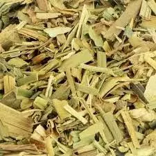 Cana do Brejo