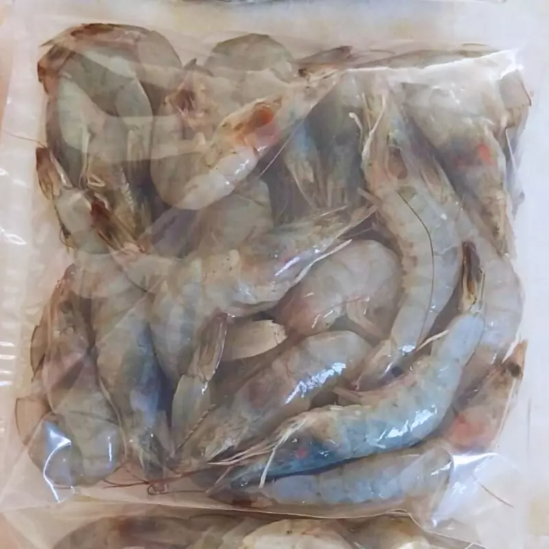 Kg de Camarão G inteiro congelado