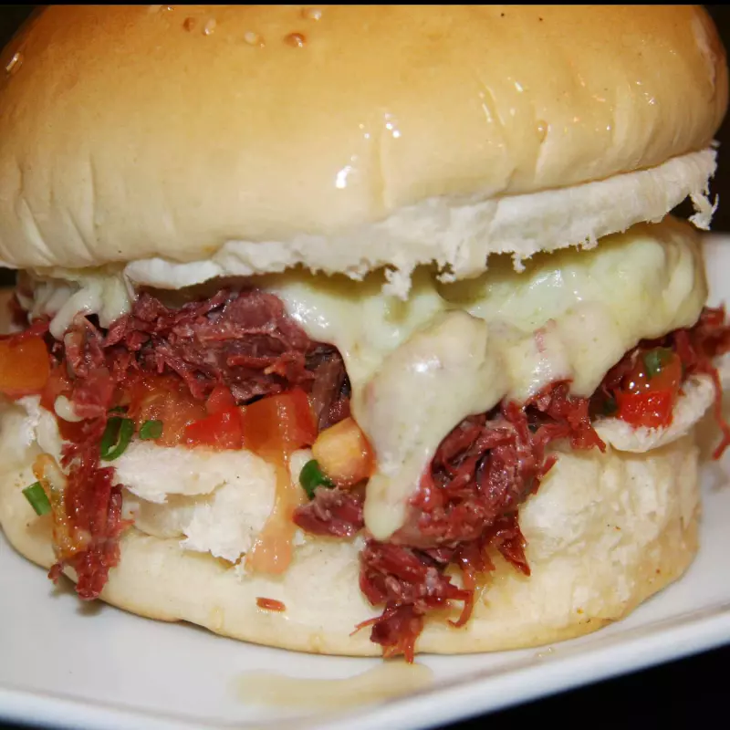 X- Carne do sol (pão bola)