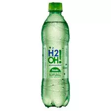H20