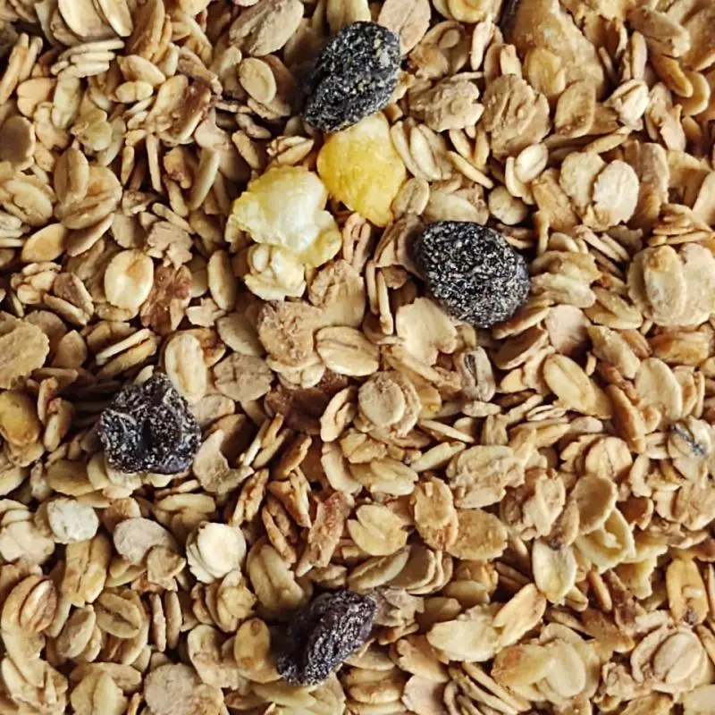 GRANOLA COMPLETA 20 INGREDIENTES