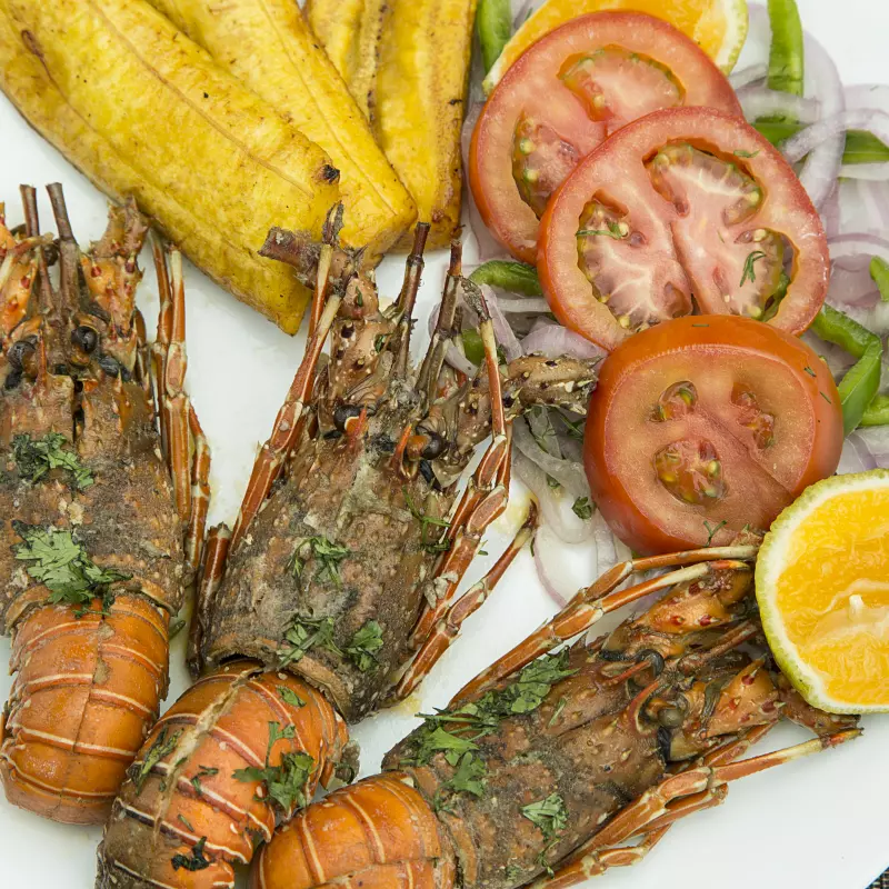 LANGOSTA
