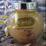 Nódulos de kefir de agua 30 mg