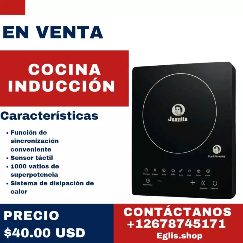 Cocina de inducción