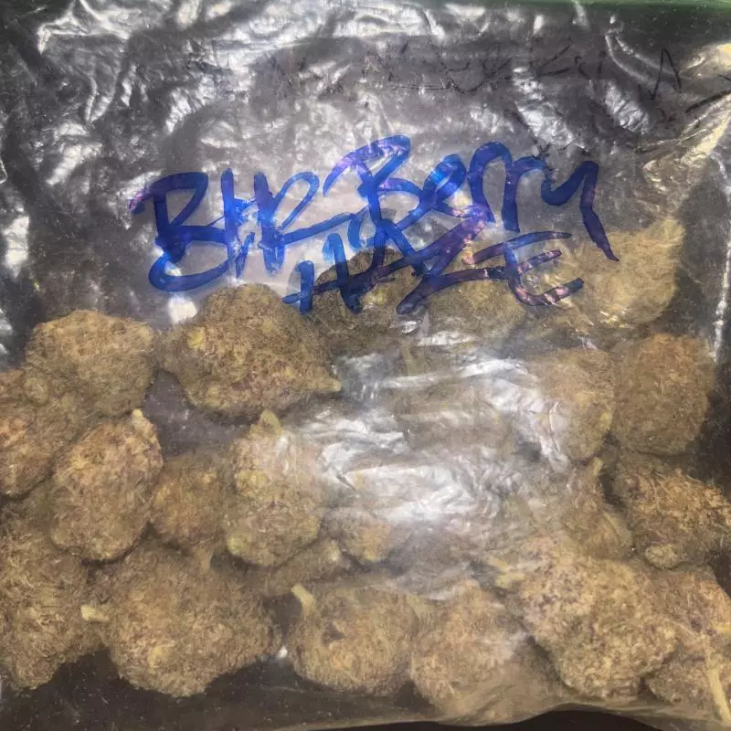 BlackBerry Haze: Sativa