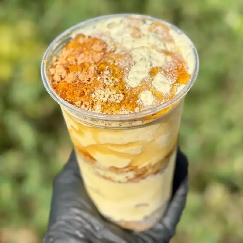 Sorvete de Creme  500ml