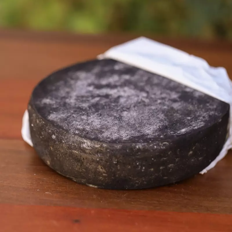 QUEIJO CARBONCINO