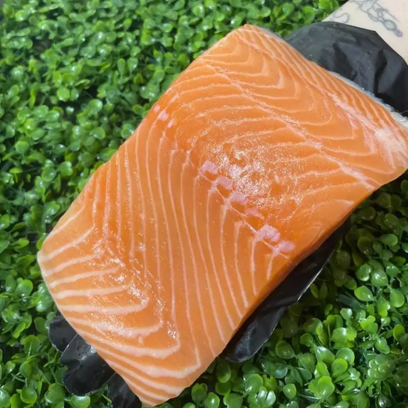 Filé de salmão fresco com pele