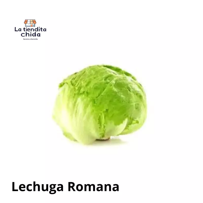 Lechuga Romana