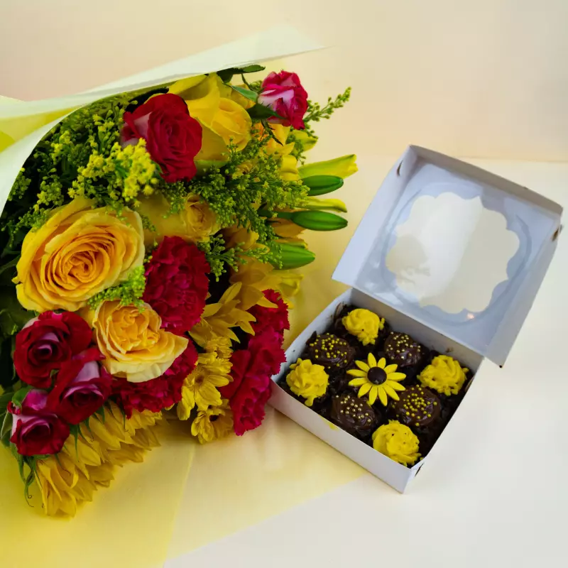 Paquete girasoles