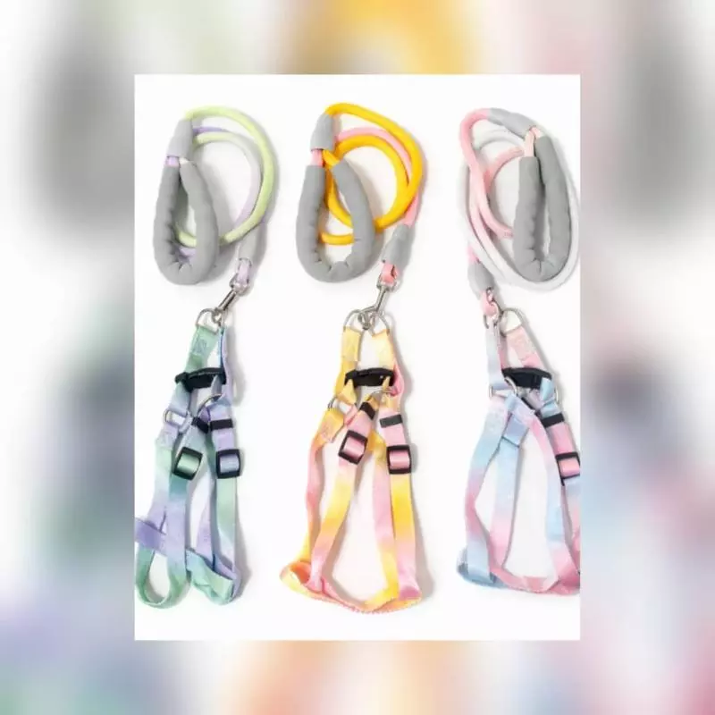 CORREA CON PECHERA PARA PERROS