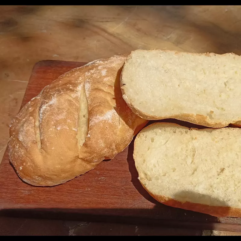 Panino