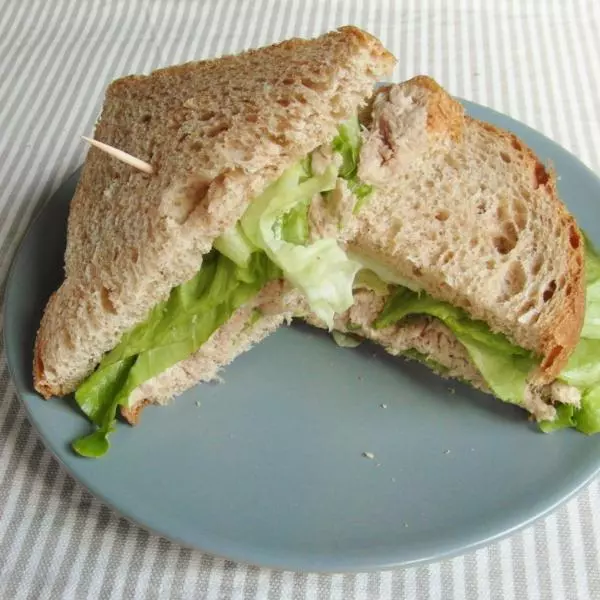 LANCHE NATURAL ATUM