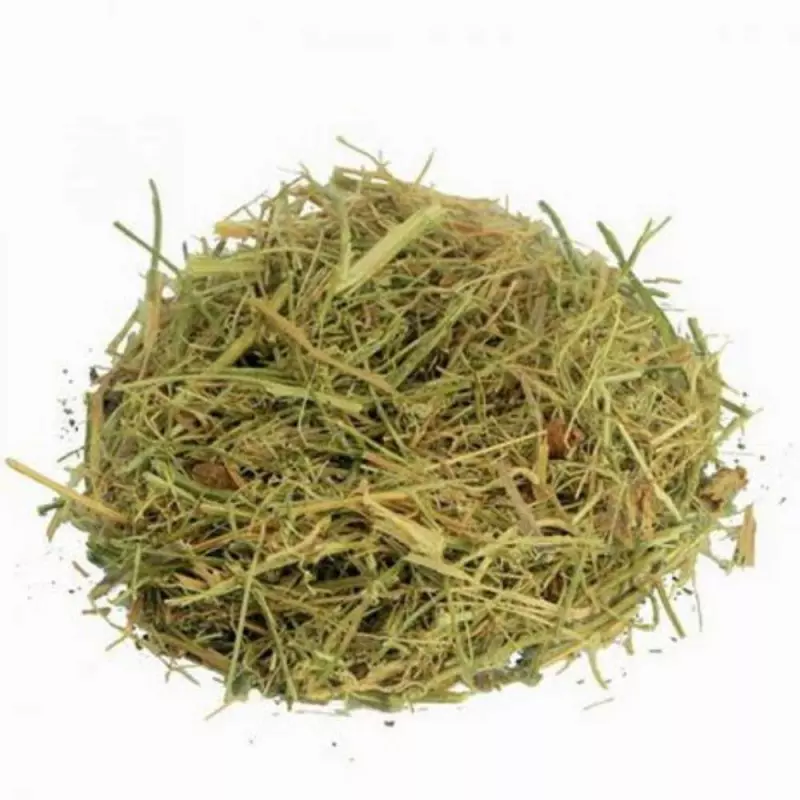 Melão de São Caetano - 10g