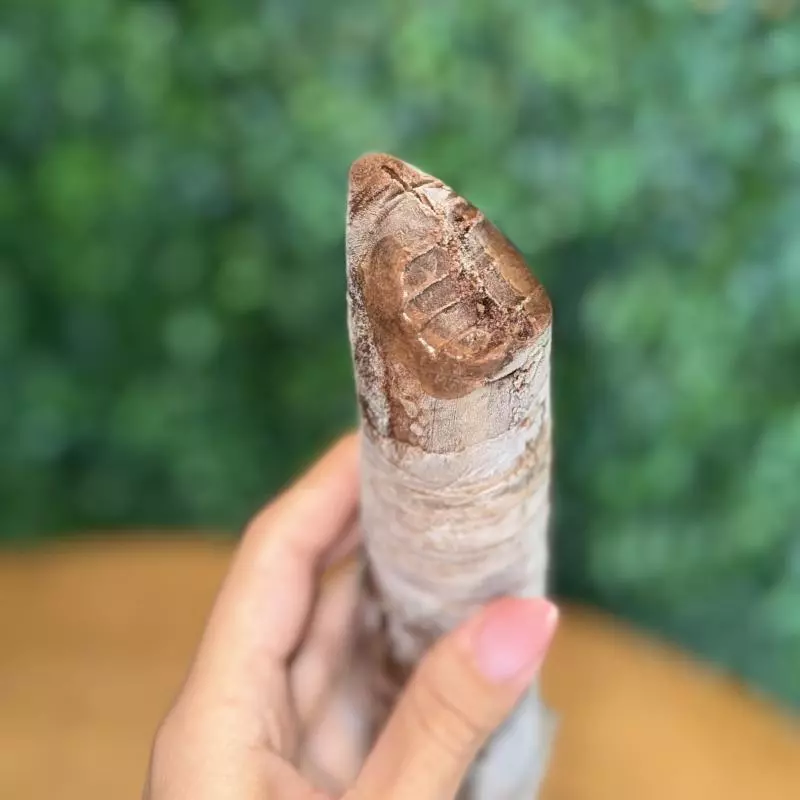 Geladinho brigadeiro com brownie