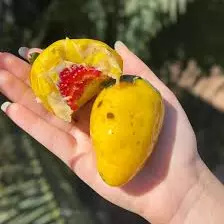 Morango do amor maracujá