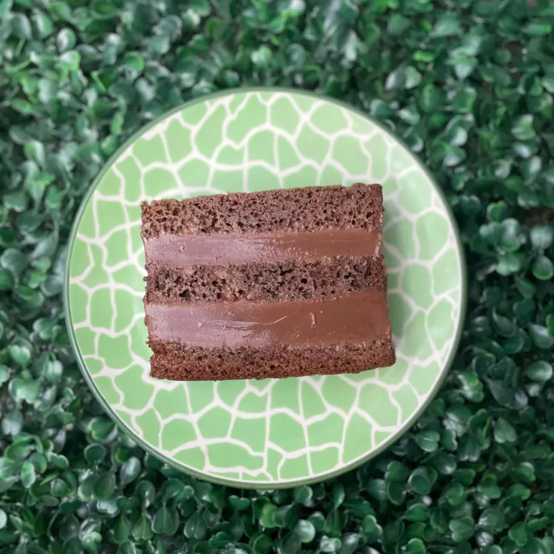 Slice cake chocolatuda