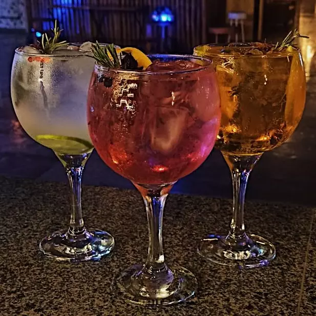 Gin Tônica | Gin Tropical
