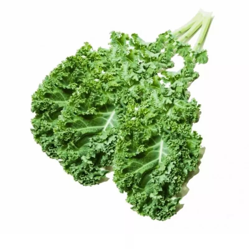 Kale Rizado x500gr