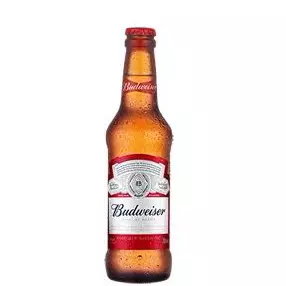 Cerveja Budweiser 330ml