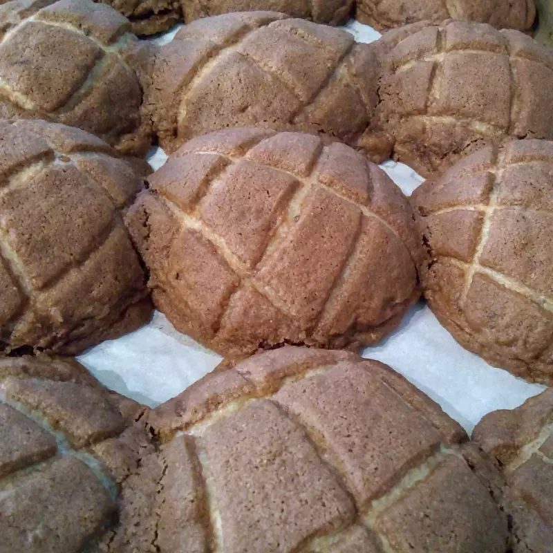 CONCHAS