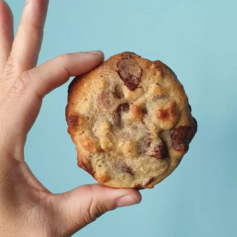 Cookie Chocolate Chip
