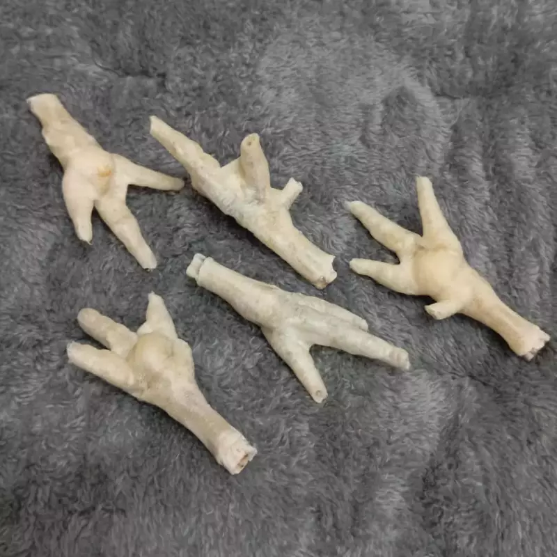 CARNAZAS DE PATAS DE GALLINA