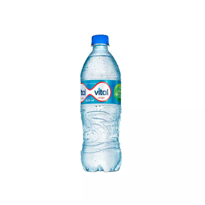 Agua con gas 500ml