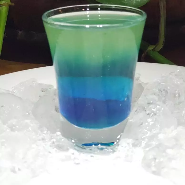 ARARA AZUL