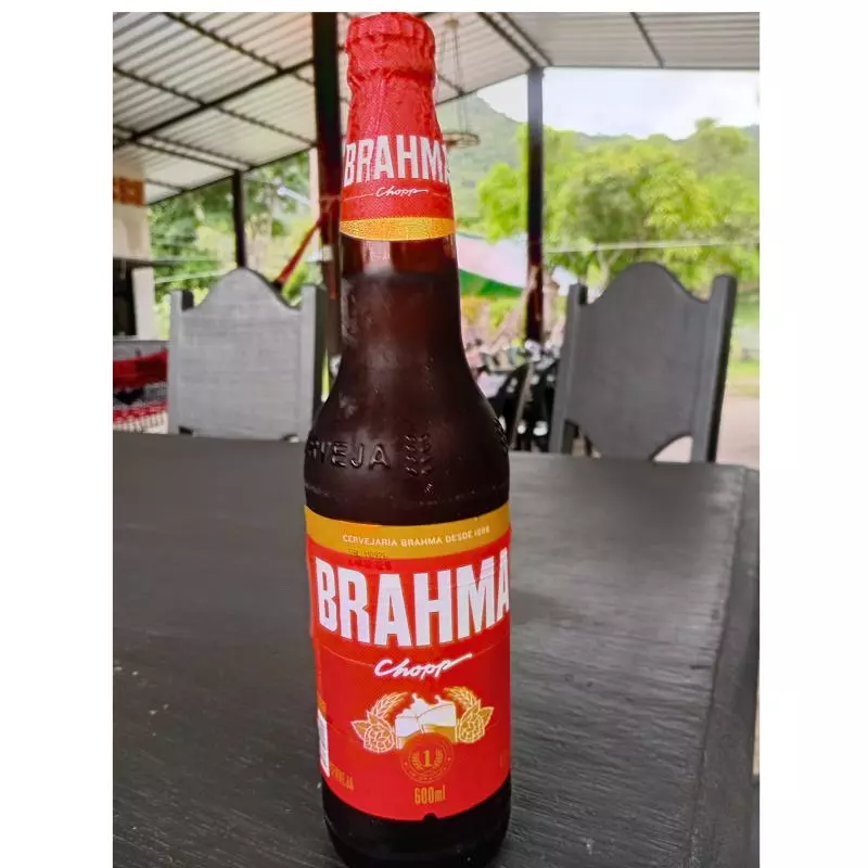 Cerveja 600 ML Brahma