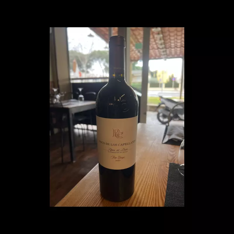 Pago de Capellanes Crianza  Ribera