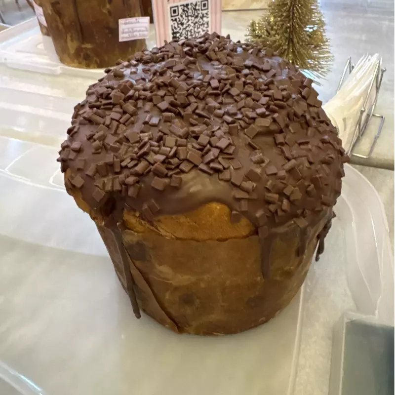 Chocotone chocolate