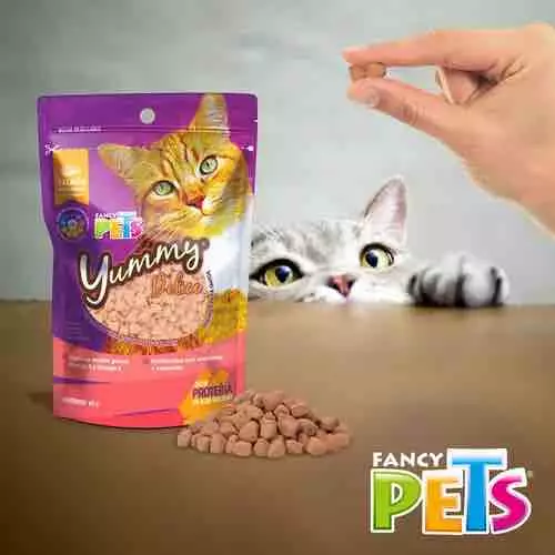 Premios - Yummy para gatitos