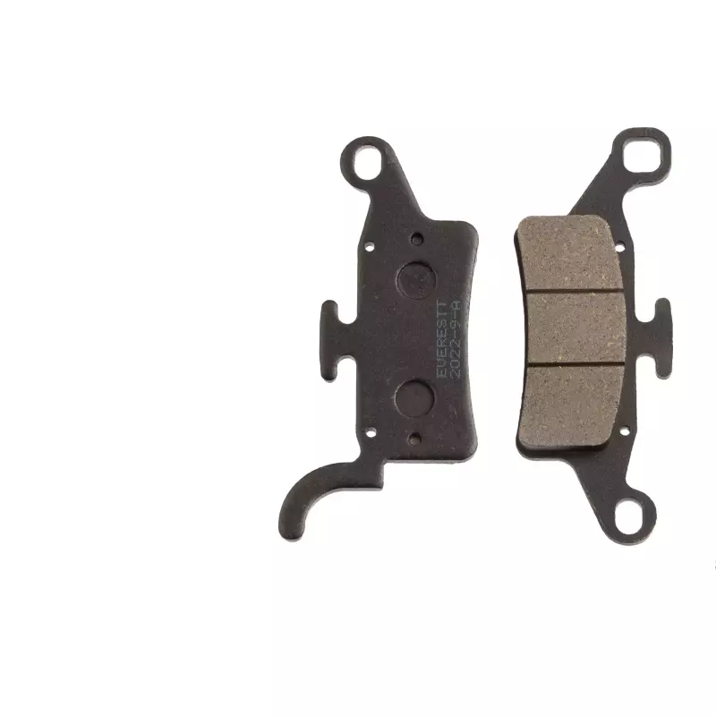 PASTILLAS DEL BWS 125 MV