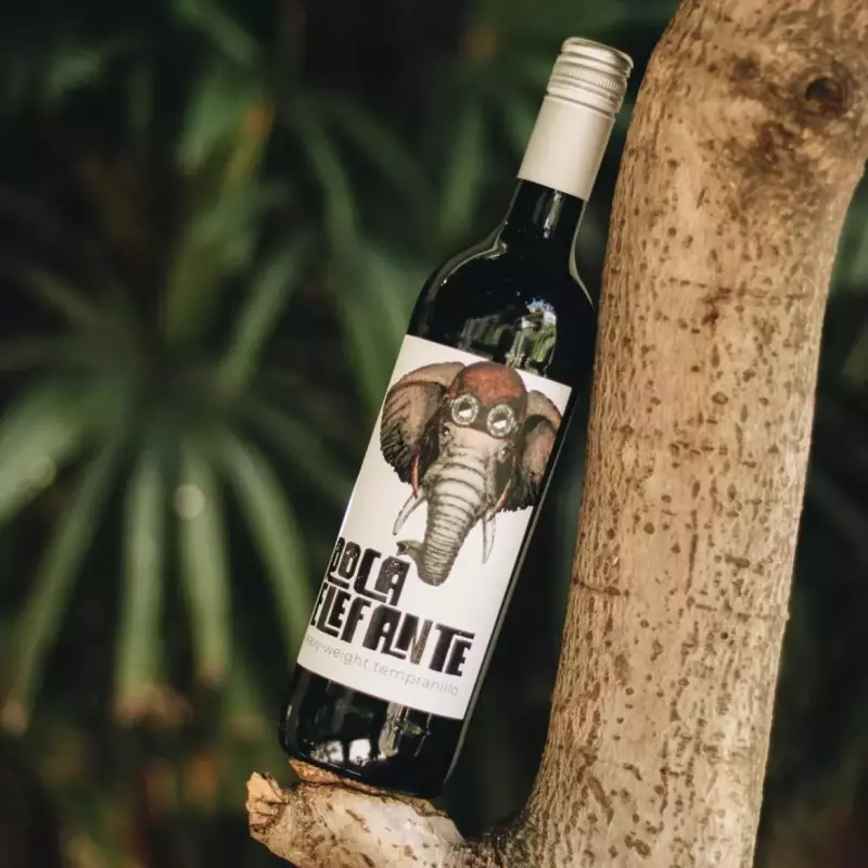 Roca Elefante
