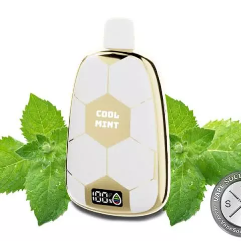 Cool Mint