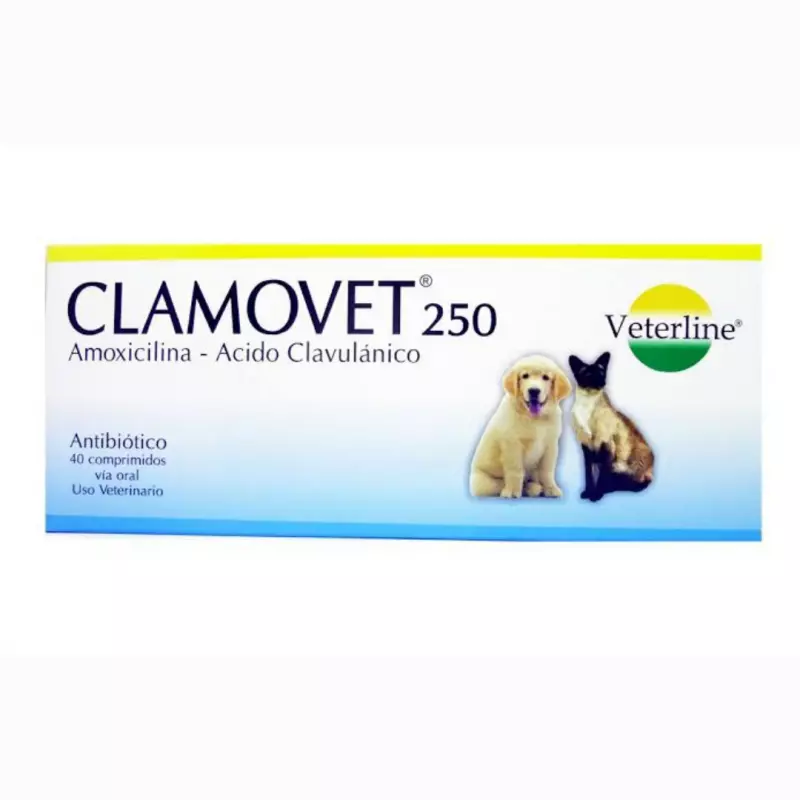 CLAMOVET 250 MG Tabs