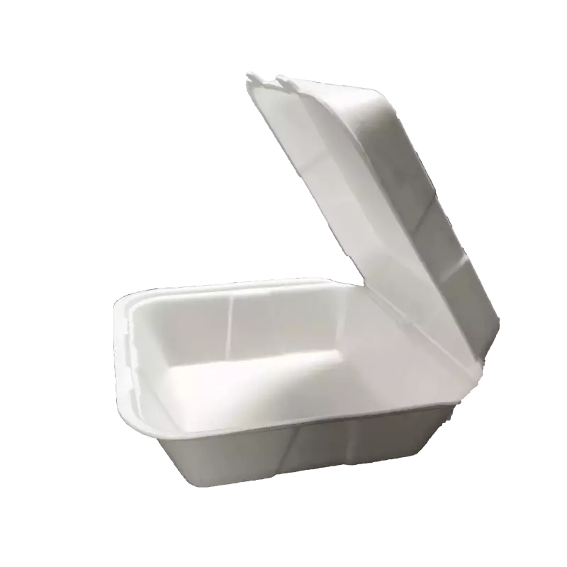 CT1