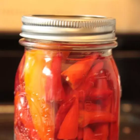 PIMENTA EM CONSERVA ペッパーのピクルス