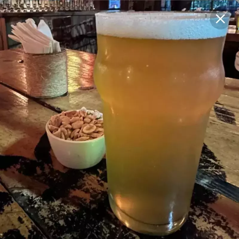 IPA