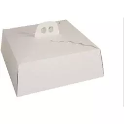 Caja transportadora 35x35x12cm